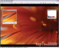   ACDSee Pro Photo Manager