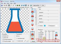   Icon Processor