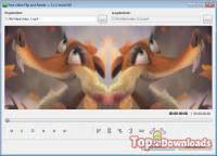  Free Video Flip and Rotate