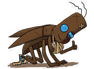 Journey of a Roach